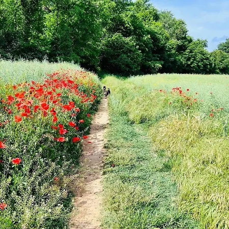 Bed & Breakfast Podere La Miniera Relax & Food Siena