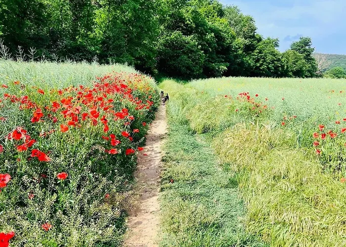 Bed and Breakfast Podere La Miniera Relax & Food Σιένα