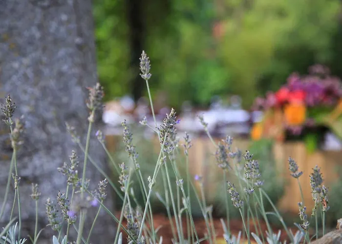 Bed and Breakfast Podere La Miniera Relax & Food